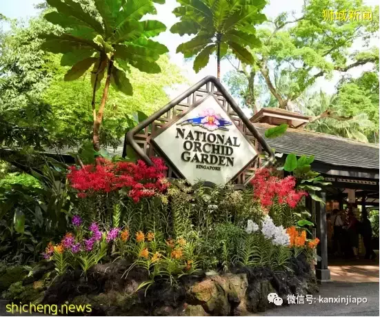 【下周活動】限時優惠！Swensens冰淇淋粽子，$8暢玩VR Arcade遊戲，周傑倫演唱會門票免費送