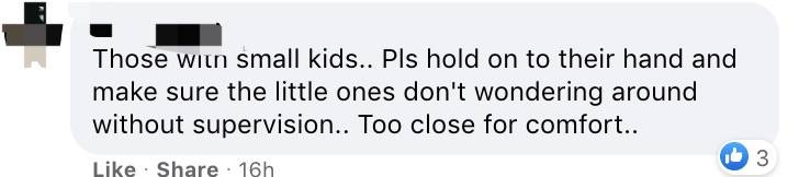 新加坡鳄魚上岸堵路,張開大嘴!海豚犀鳥也都來了