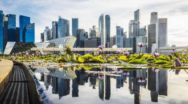 南洋理工大學調查顯示:近八成新加坡民衆環保意識高