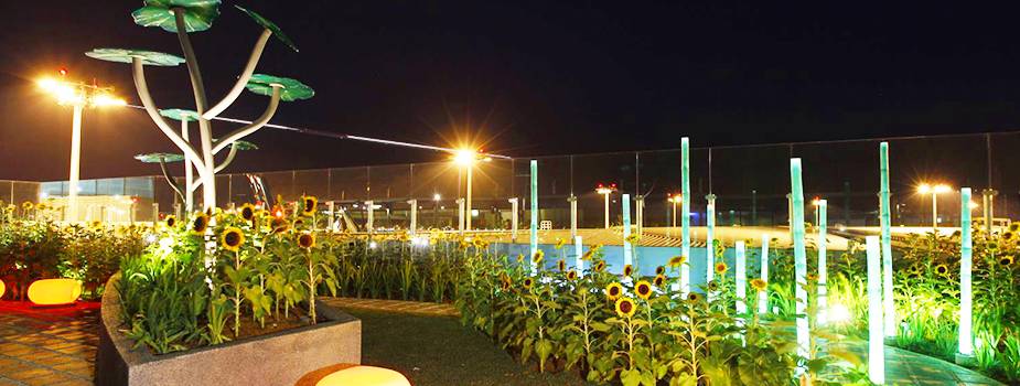 樟宜機場 “花園裏的機場”都有哪些花園呢