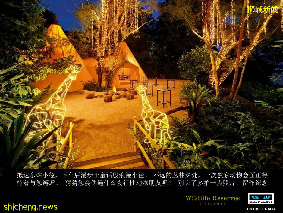 本周折扣！新加坡夜間動物園中秋奢華晚宴，折扣酒店，特價烤魚