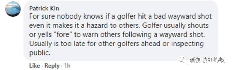 好危險! 走在樟宜機場步道,訪客遭高爾夫球擊中頭部,球自相鄰球場“從天而降”