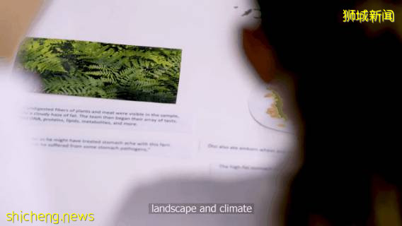 新加坡留學 與蘋果公司合作，斥資23億新幣打造最美“垂直校園” ：新加坡萊仕國際學校NEXUS