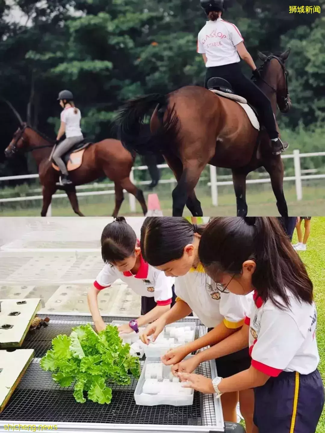 我最爱的海边度假村D’Resort重开啦！周末遛娃冲冲冲