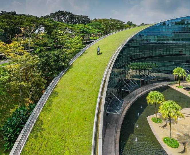 玩在獅城 坡島隱藏IG拍照打卡點推薦