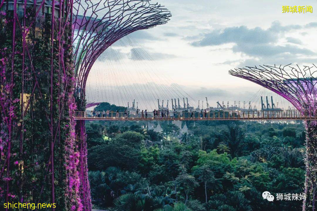 新加坡政府發福利!$1400多/月的國際學校,連奧巴馬夫人都去過