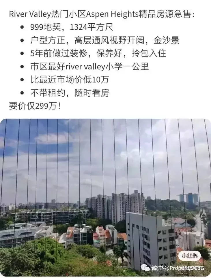 【近期优质/划算二手房源分享】新加坡市区公寓