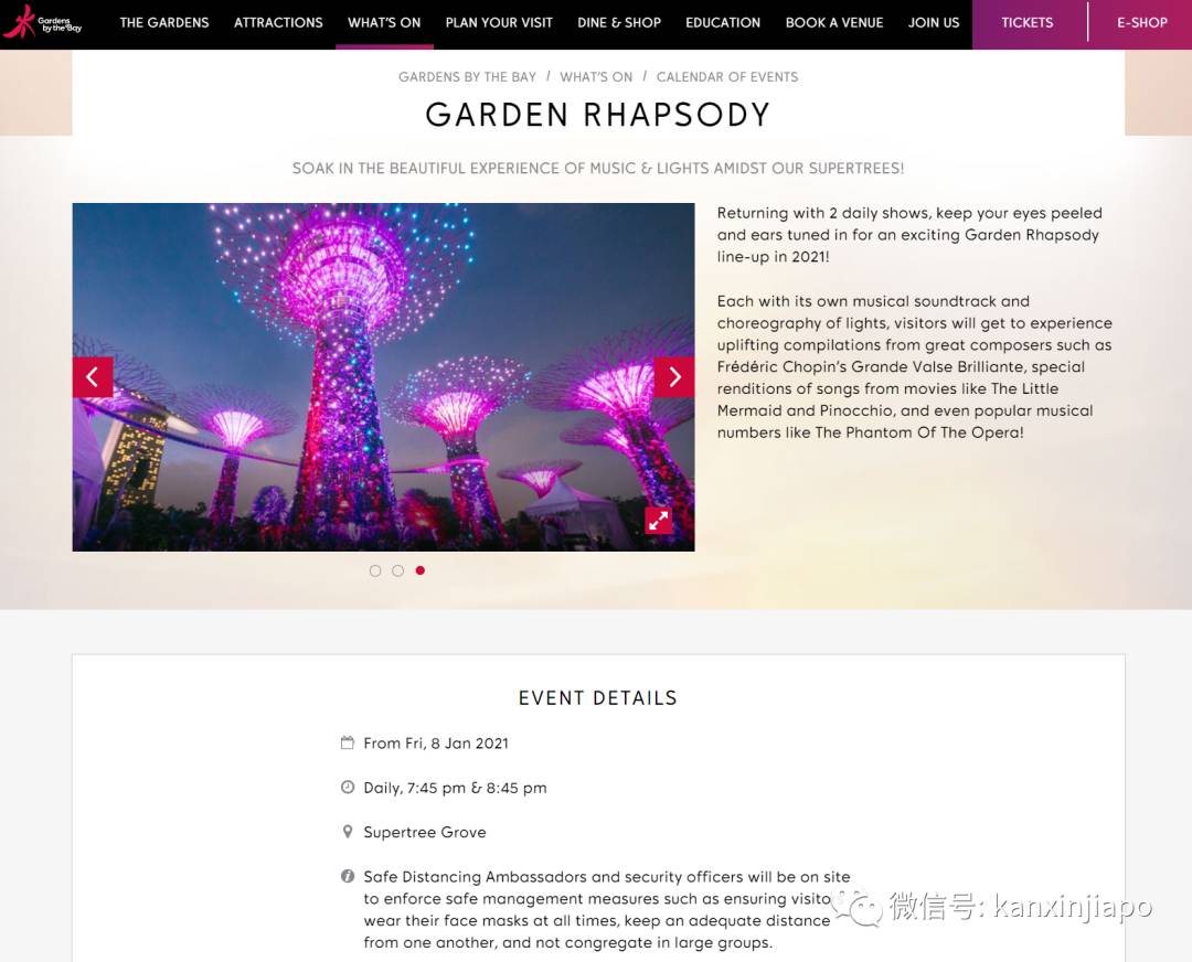 滨海湾花园招牌“会唱歌的树”，时隔八个月重新奏响坡岛夜空