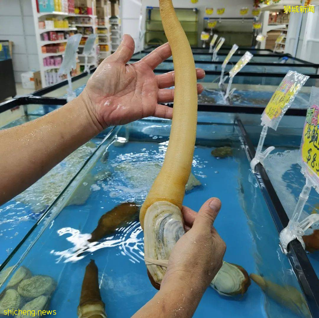 新加坡再次解封後，這家中國超市火了！80多種海鮮$2起！小龍蝦辣條包點東北大米扛回家