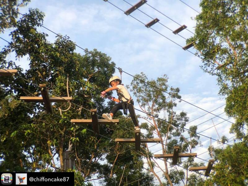 驚險刺激！挑戰人猿泰山一樣的飛躍、水面滑索等超好玩項目！就在Bedok蓄水池Forest Adventure