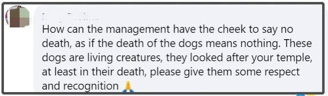 昨晚,新加坡三巴旺財神廟發生了大火,慘不忍睹