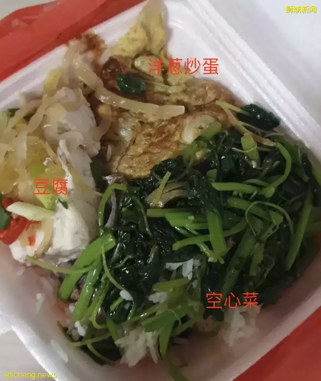 网友热议!杂菜饭11新、咖啡店4000万!新加坡物价太魔幻