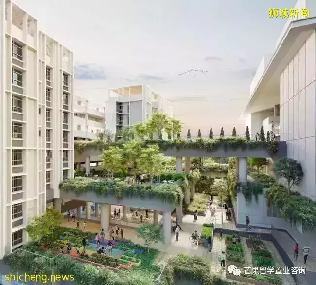 一網打盡，新加坡公園都有啥