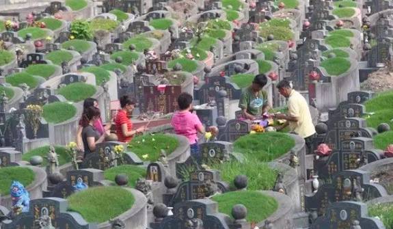 獅城百科 清明時節，新加坡華人及各國海外華人在這一天會做哪些事你知道嗎