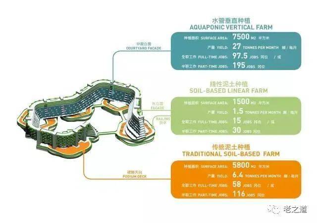 新加坡家庭养老模式的启示