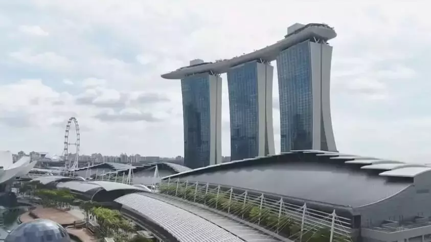 新加坡总理新年贺词!!!满满的消费税o(╥﹏╥)o