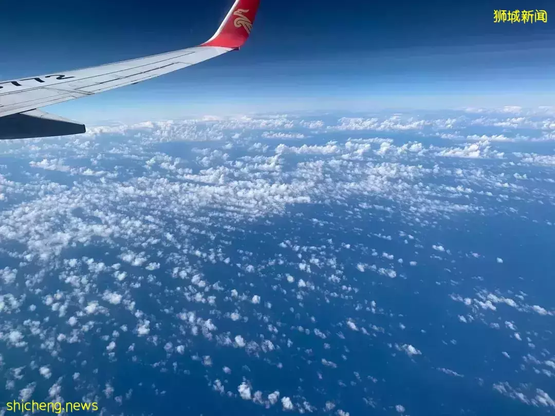 作爲新移民,你爲什麽選擇在新加坡生活?說說你的理由