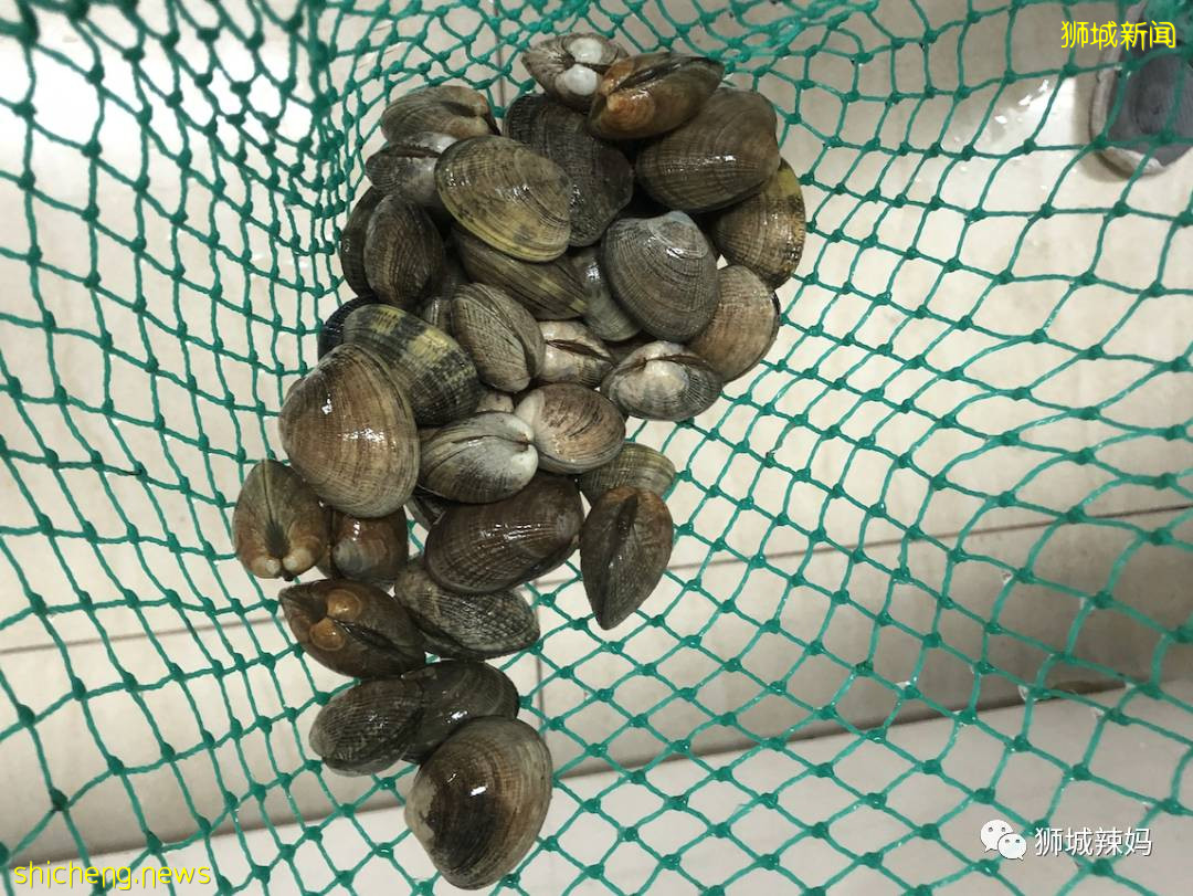 超劃算中國超市！$0.6鮑魚、$8麻辣小龍蝦、活鲫魚、80種海鮮、100多種面食