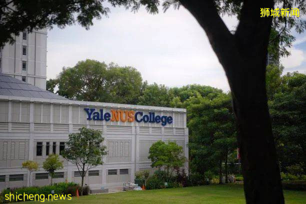 “请愿者不只是数字,更是一颗颗遭背叛而破碎的心”——从新加坡停办耶鲁—国大学院谈起