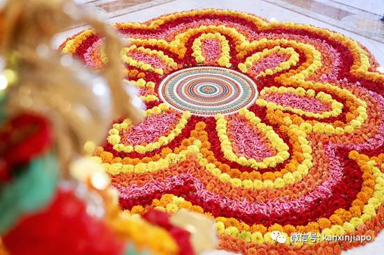 哈莉玛亲自直播,揭秘新加坡总统府那些事儿