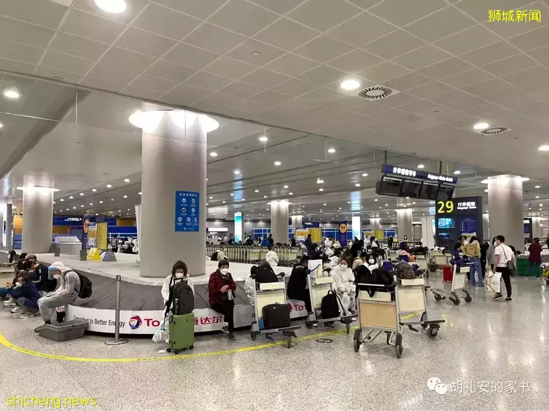 全過程記錄!4月4日從新加坡飛往封城中的上海,入境隔離多圖