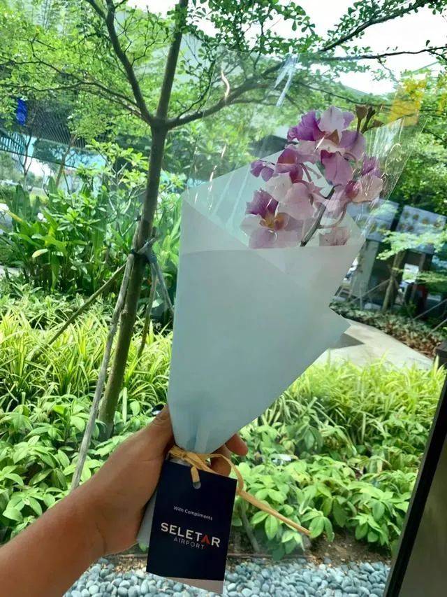 你知道新加坡除了樟宜,还有另一个民用机场吗