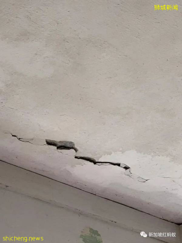 獅城患病母子住在破舊屋子　沒錢看醫生冰箱內全是黑色的東西!