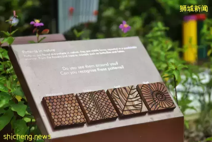 戶外徒步新去處！新加坡新開的7個公園你都遛過了沒