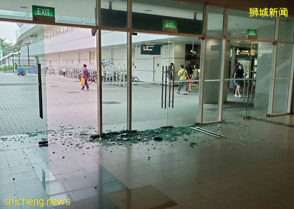 野豬島國趴趴走 1年多接獲350起通報