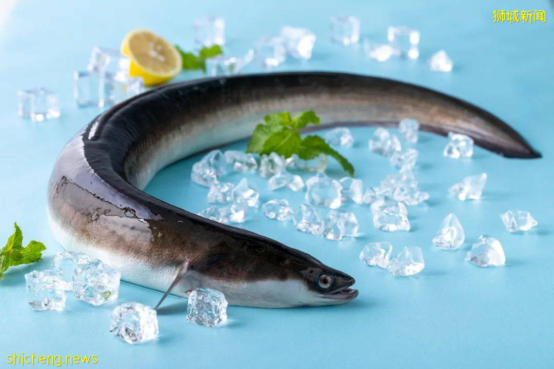 新加坡“莆田鳗魚節”卷土重來