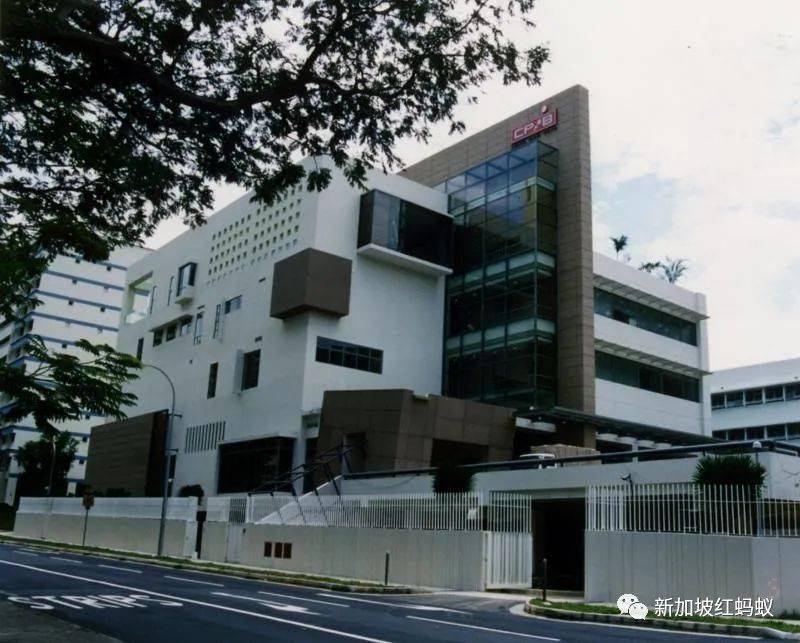受不了马国从上到下都在贪“咖啡钱” 马国议员:学学新加坡好吗