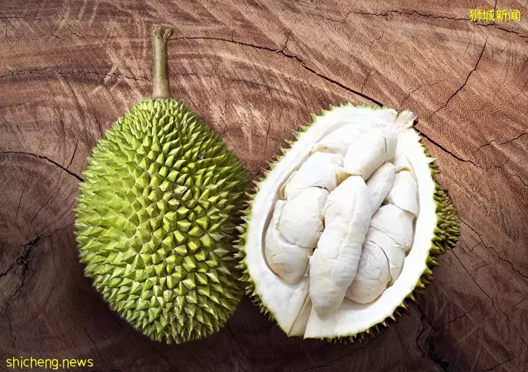 因爲減産,都漲價了!新加坡最火的11種榴梿價格表出爐