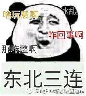 《新加坡最炫東北人圖鑒》