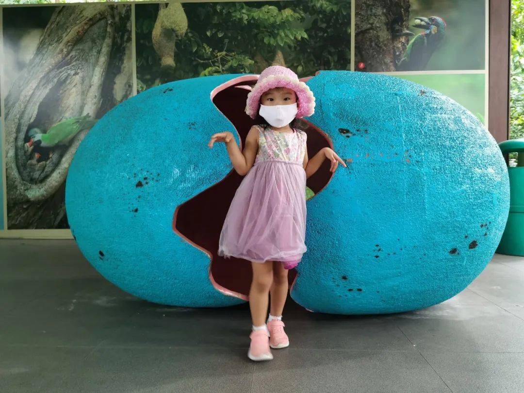 免費送票!帶倆娃嗨翻亞洲最大飛禽園,400多種5000多只鳥,一路驚喜不斷