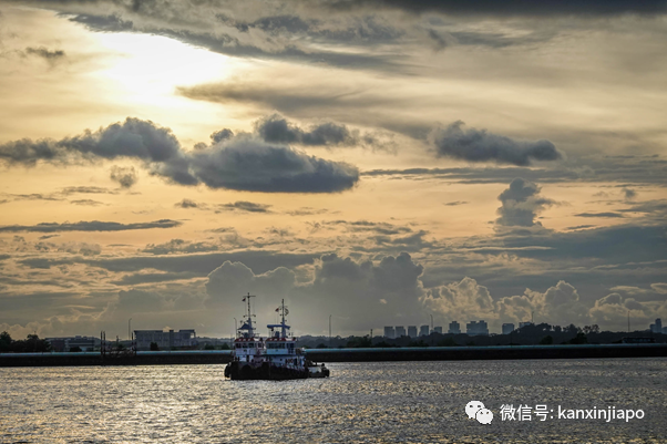 捕获野生李显龙与夫人看大海、逛公园、玩自拍