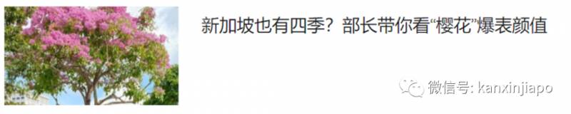 《鬼怪》、《爱的迫降》制作团队到坡岛取景,“欧巴”街道任你看