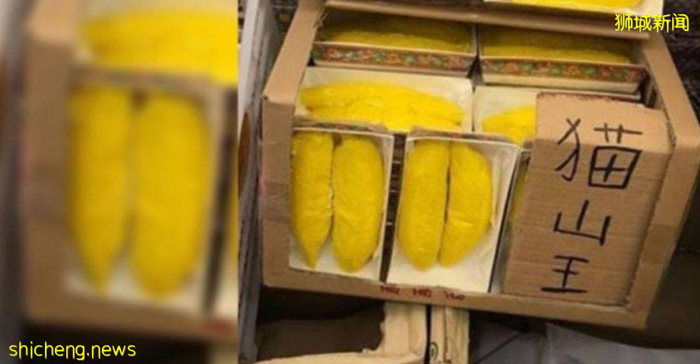 新加坡人不过鬼节,直接过“鬼月”