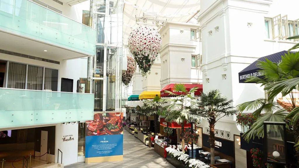 想打卡網紅玻璃屋卻迷上了這幾家小衆餐廳!知道的人還不多,趕緊去