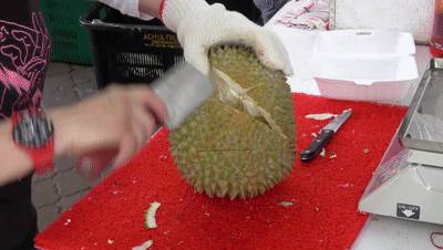 新加坡榴梿全攻略！實拍挑戰芥末和燒烤榴梿！太刺激了