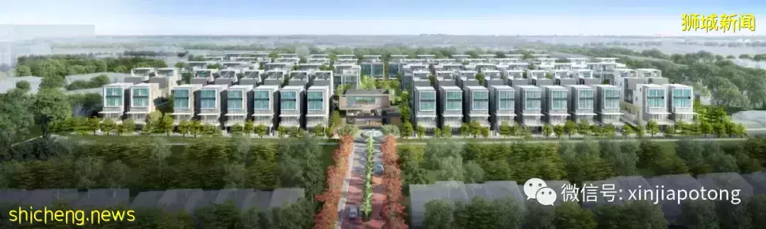 共管别墅项目 Belgravia Ace，1月8号火爆开盘中，欢迎联系预约看房