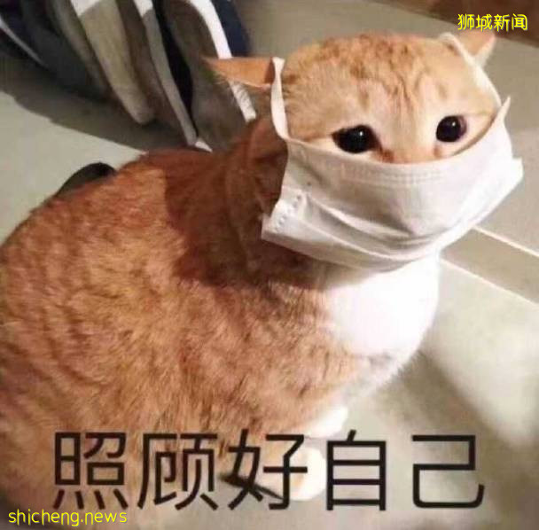 新加坡哪裏可以領取ART進行自檢？我又該如何使用