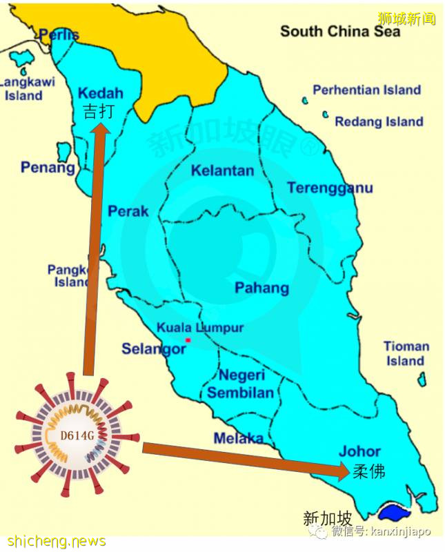 今增91,累计55838!中国出现5起新加坡输入性病例!马来西亚确认变异毒株,传播速度快10倍