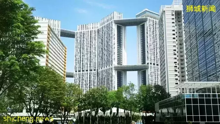 “在新加坡不买组屋的,太笨了”