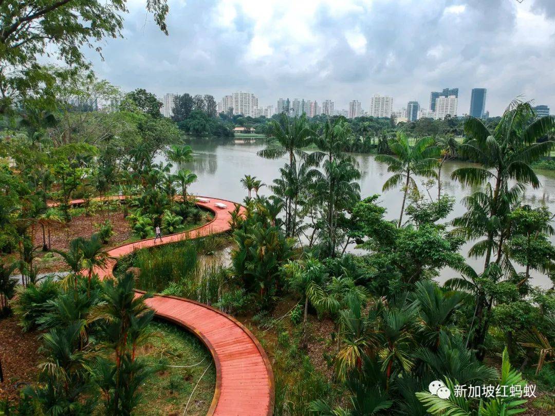 小小的新加坡竟有17個水庫　一個比一個清幽秀麗