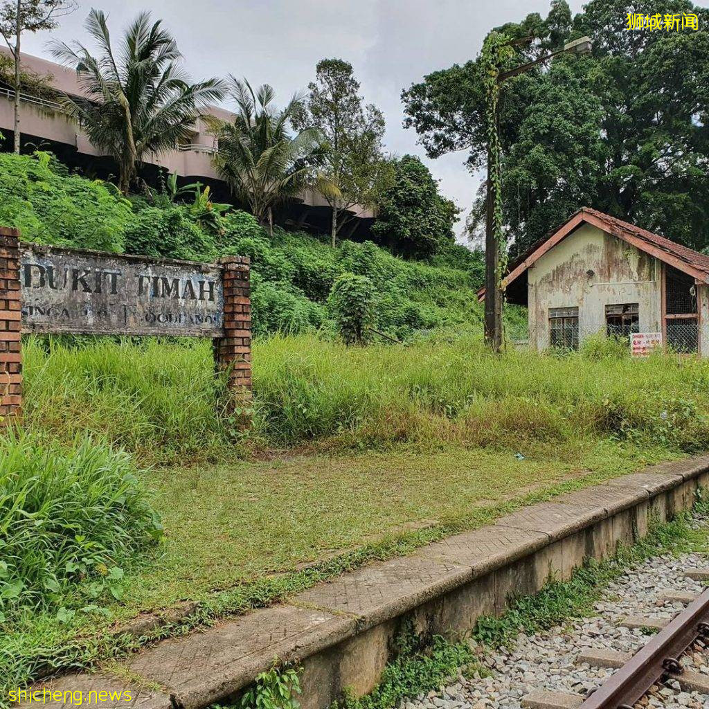 现实版《千与千寻》同款神秘隧道,直接通到Clementi Forest原始森林