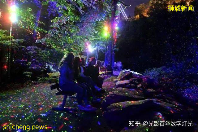 新加坡夜色玫瑰—夜间动物园