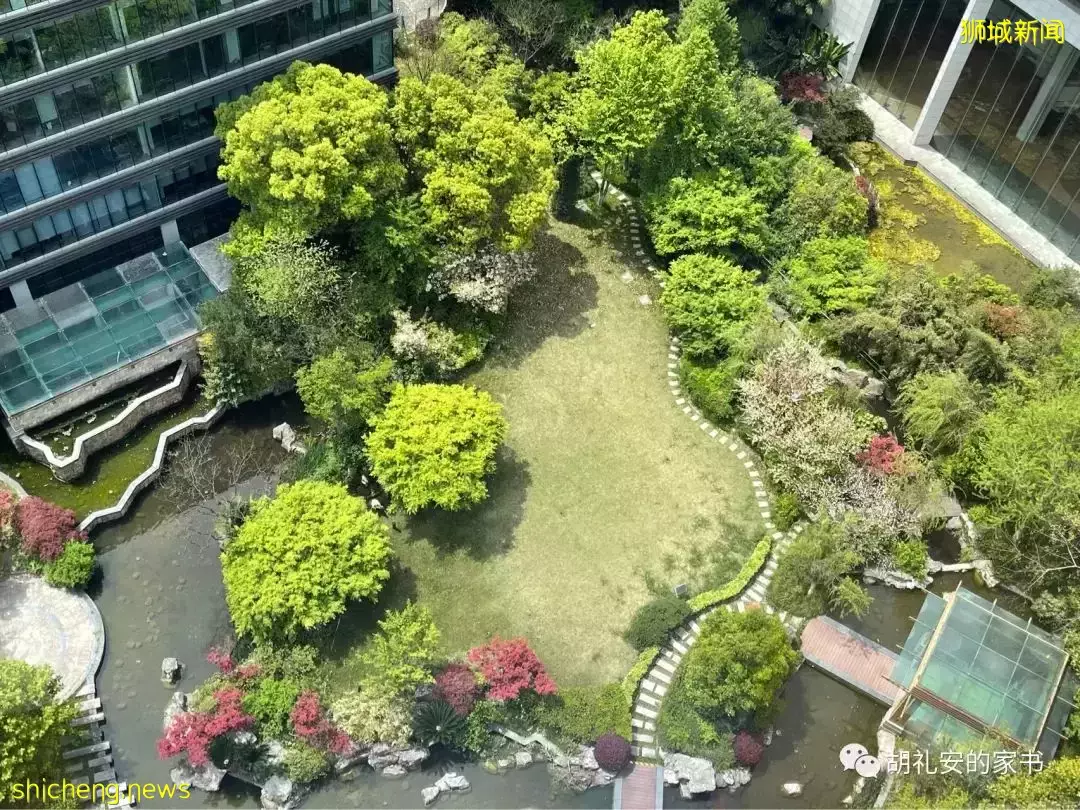 “从新加坡回到上海,封锁一再延长,我被卷入了这场前所未有的大事件”