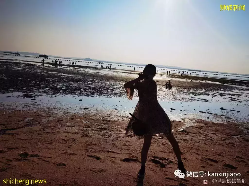 去樟宜海滩赶海吧,那里有最美的日出和从未见过的海洋生物