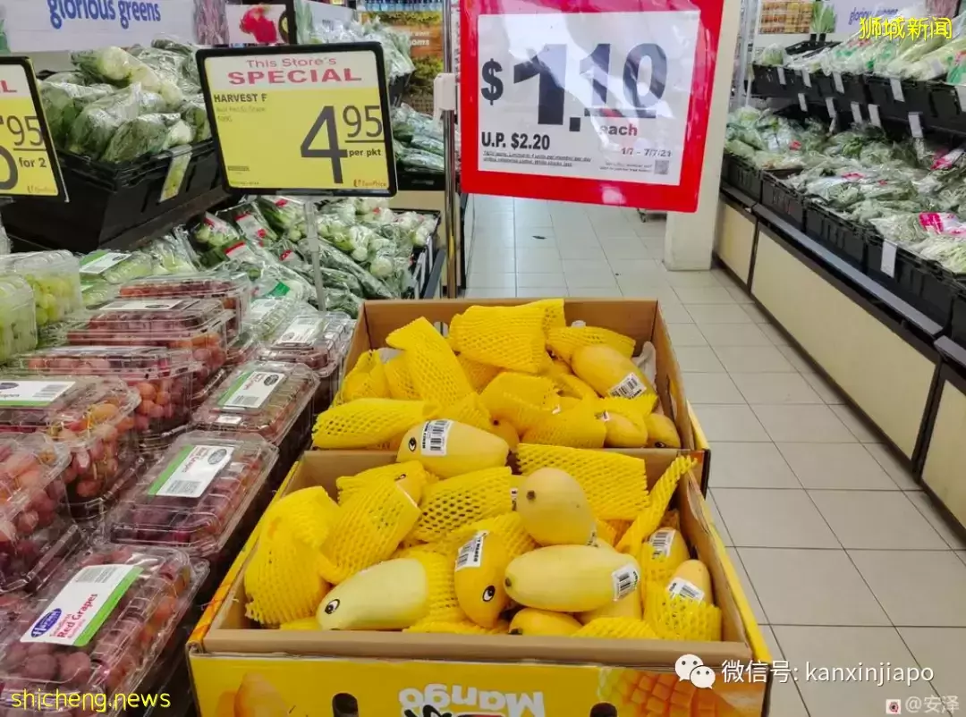 1新币白菜价,我在新加坡巴刹实现水果采购自由