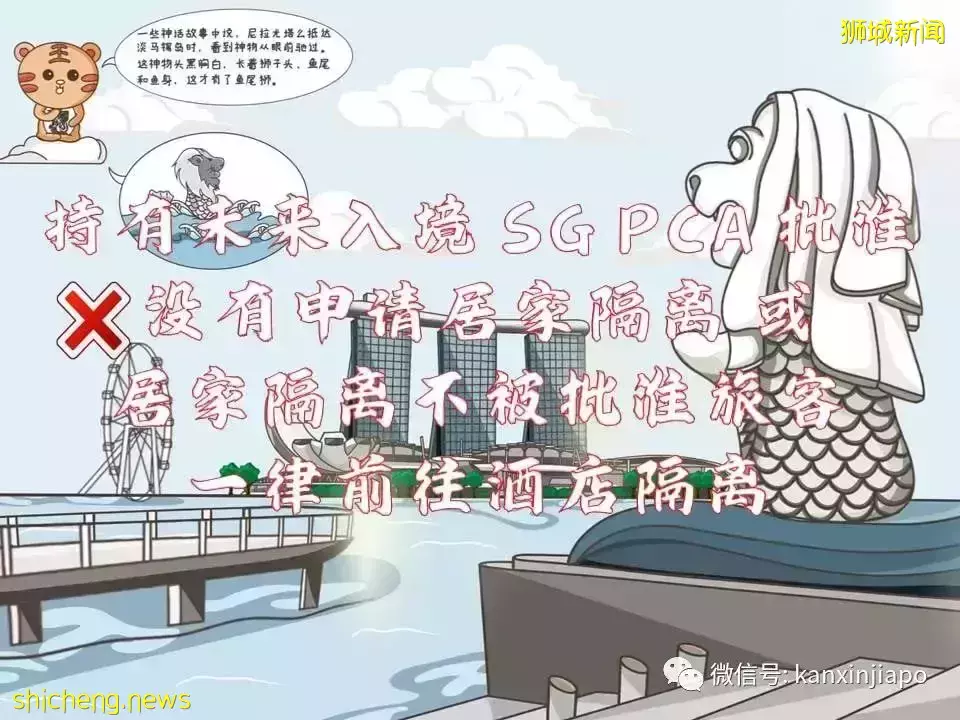 最新攻略！搶不到VTL車票，但還是想回馬國過年怎麽辦